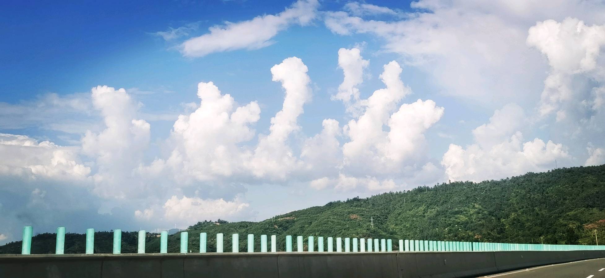张佳丽：让每个生命在“课程大世界”里绽放（图2）