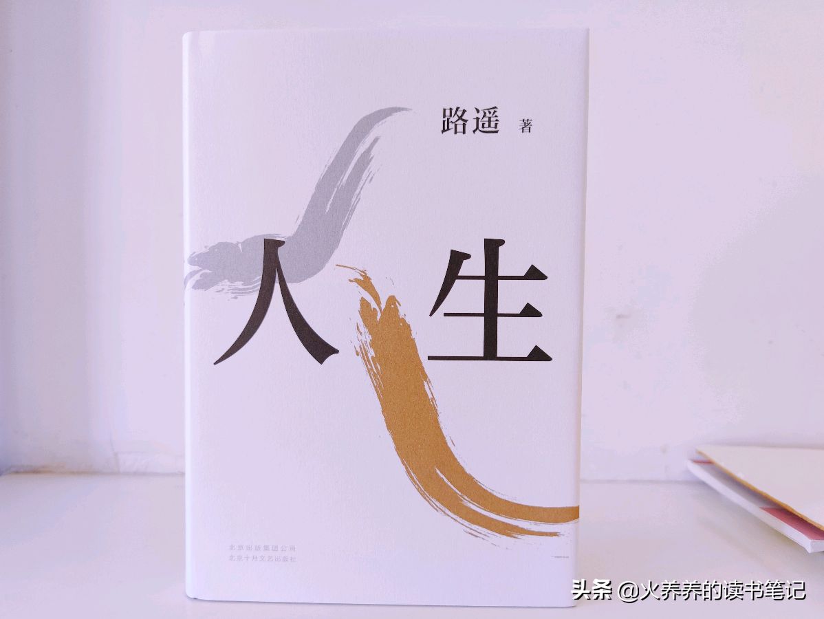 【荣耀中国】悟李杰（图3）