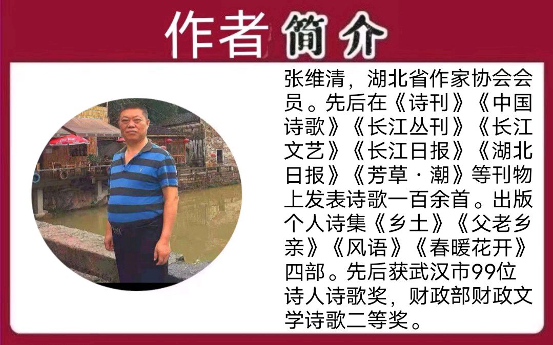 《落叶》张维清 主编/胡琴