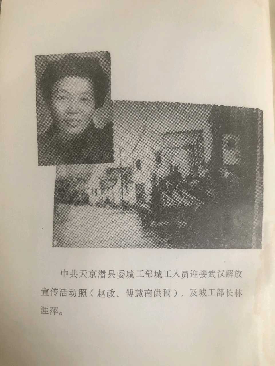 从白果树下延伸的红色根脉~文◑胡采云(图16)