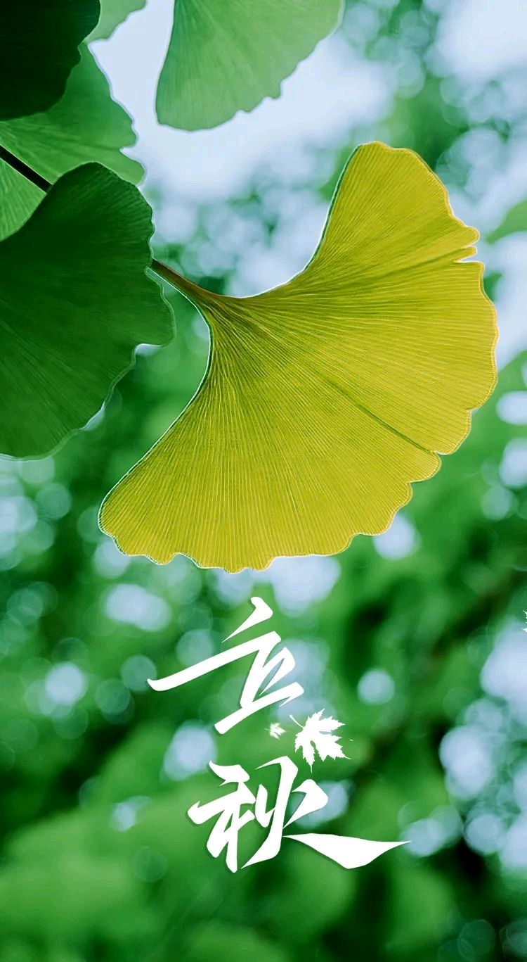 立秋吟～诗◑吴永良（图11）