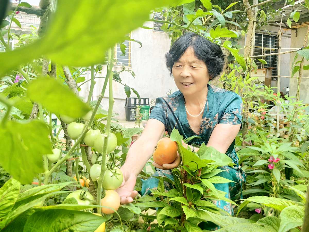 一片丹心育桃李 醉心教育谱华章~文◑胡采云(图17)