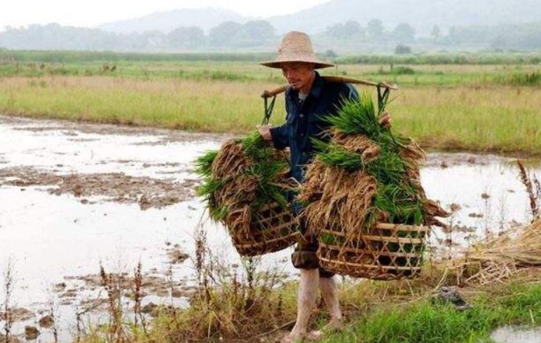 【荣耀中国】请欣赏优秀诗人海洋诗词（图8）