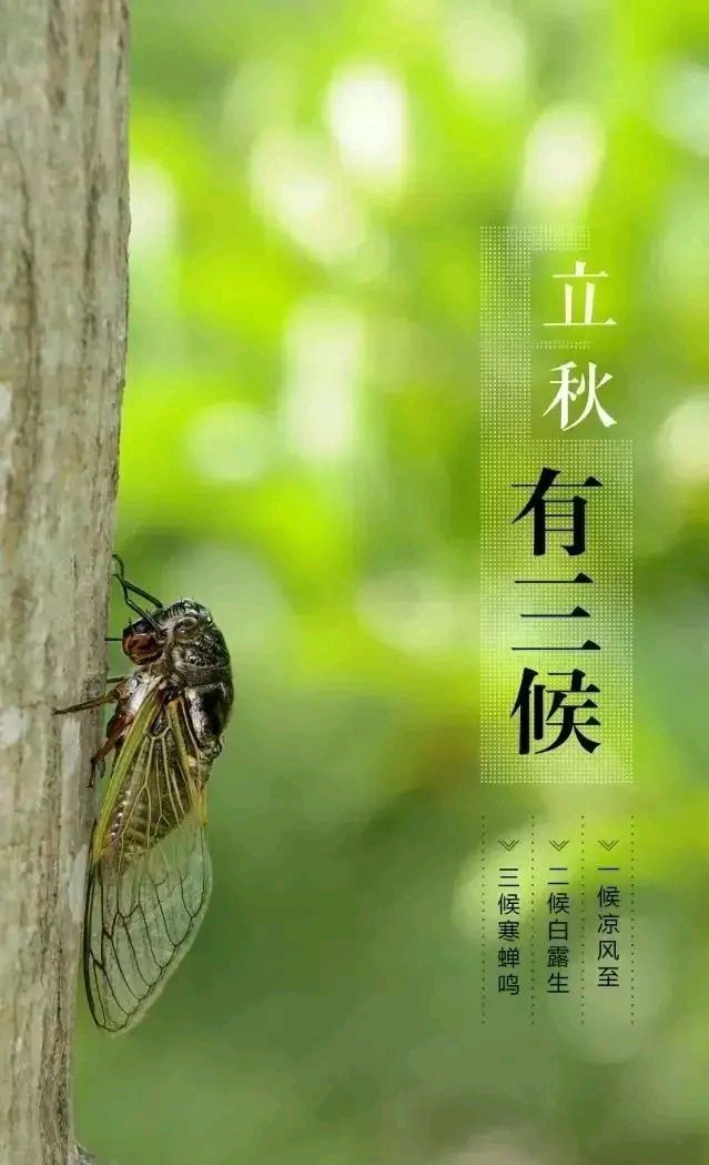 「随笔」夏日结束话立秋（图3）