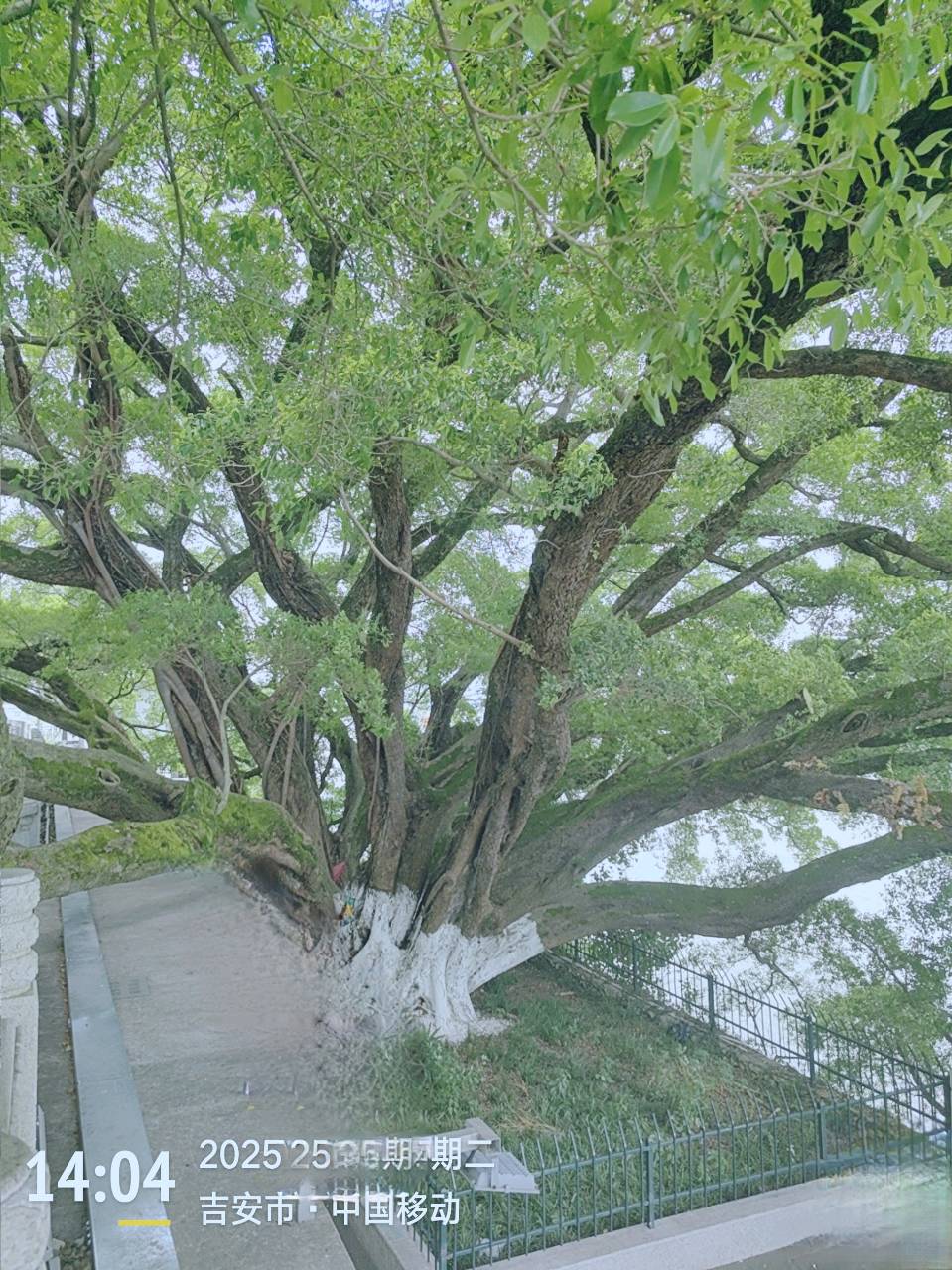 故乡（图2）