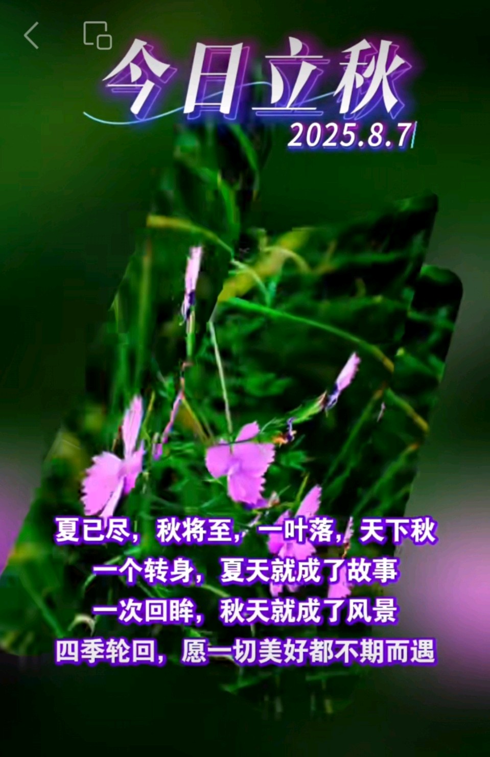 旭日东升//《戊申喜雨吟》