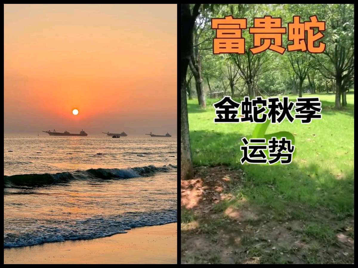 【隆重推出 拥抱秋天】鲁坡//立德修身事竟成[得道神自助]+“文学天地”系列作品展（图7）
