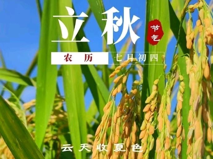 《九江文学社：北京头条》乙巳立秋节气专刊（图35）
