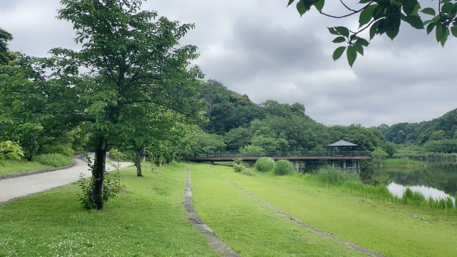 静月晴美（日本）：《晨曦中的大草原》海外头条（图10）