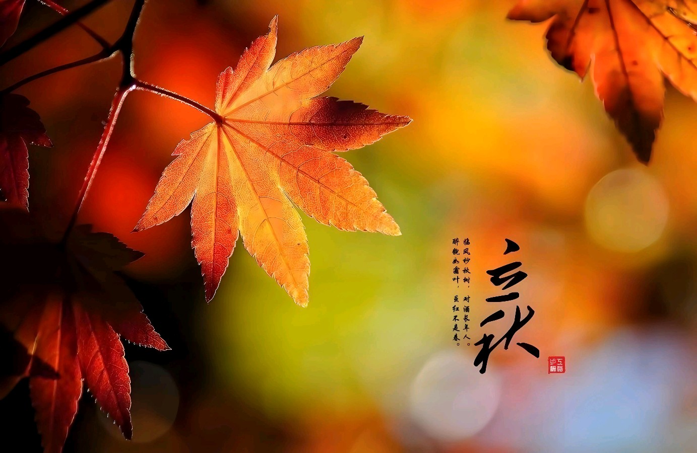 东方书剑的《清平乐・立秋》