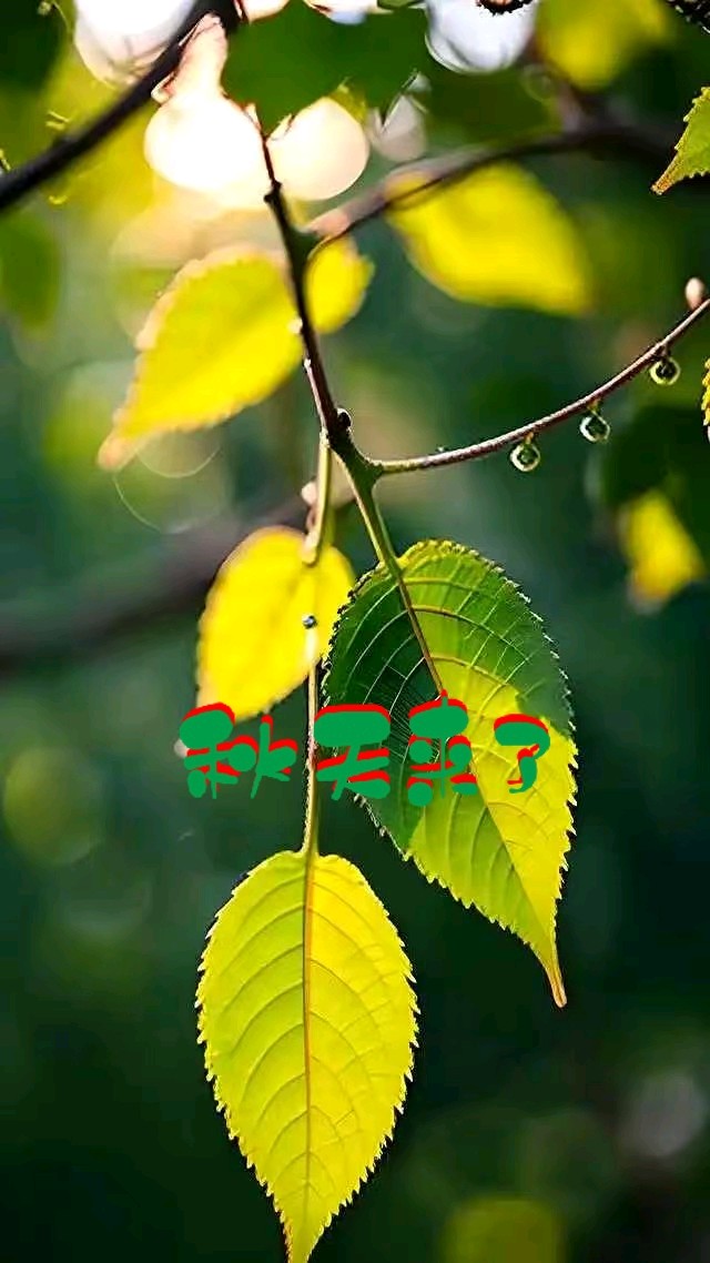 七律-感秋～诗◑宁国振（图11）