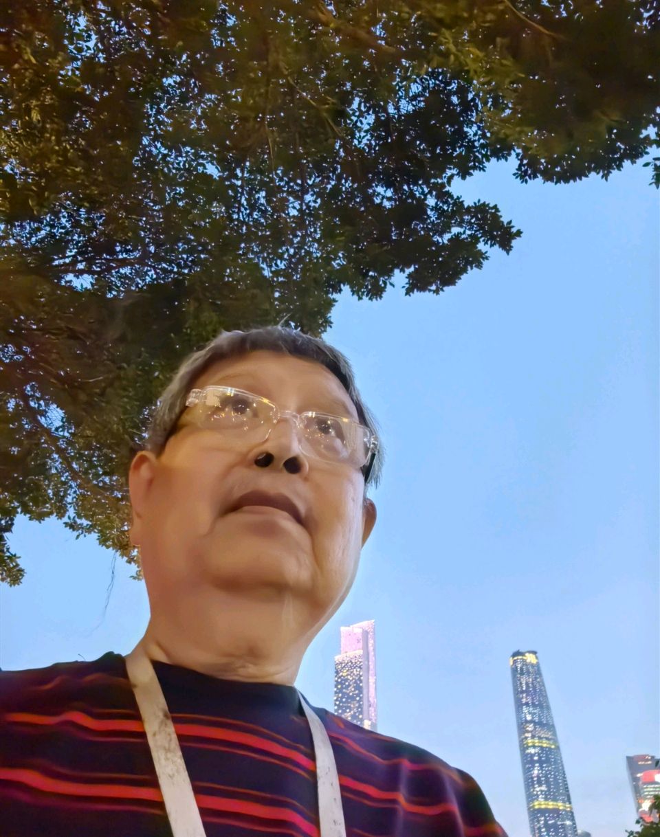 浣溪沙 抗日战争胜利80周年/江冲（图4）