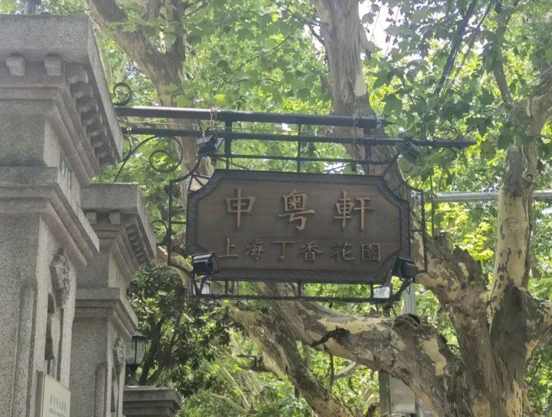 丁香雪的忧伤（图3）