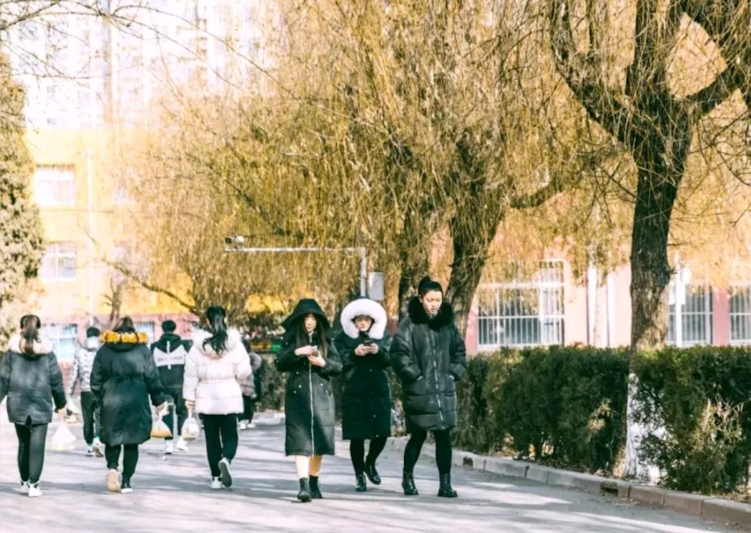 【都市头条向幸福出发编辑部】第14028期 陈金发先生作品 8（图2）