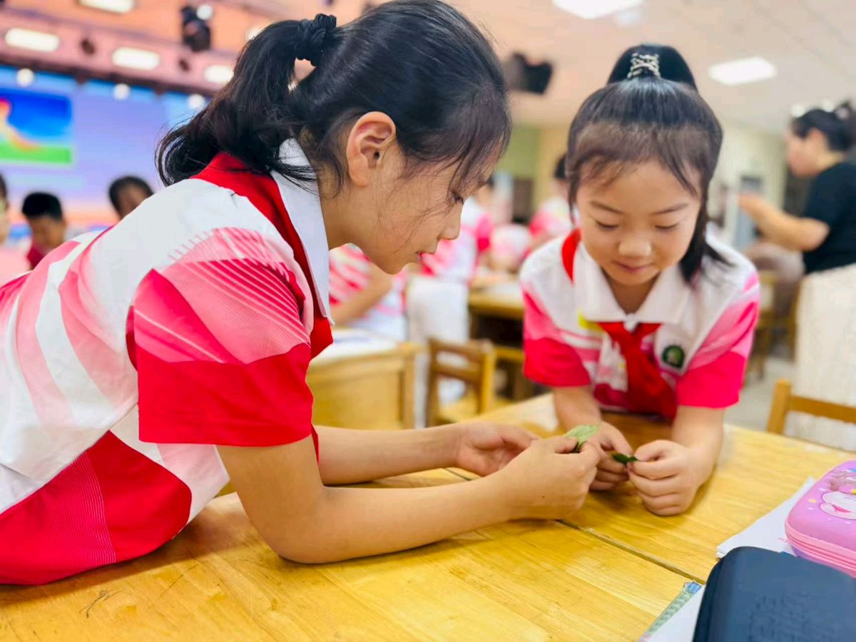 一场树叶里的“新教育”启示：观察不止于看见（图3）