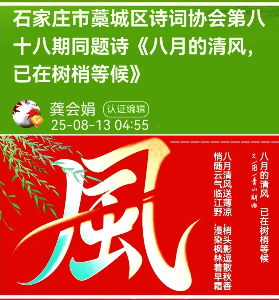………八月的清风，已在树梢等候文/图/青山新雨一一一（图3）