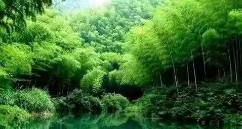 咏墨【外一首】 作者:田兴才（图3）