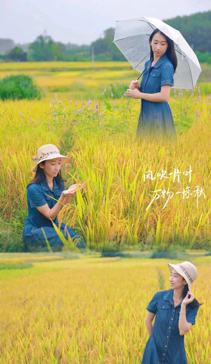 咏秋欢～诗◑吴永良（图12）
