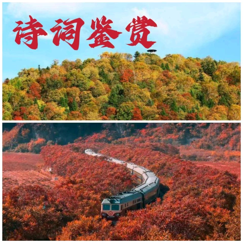 【重磅推出 秋韵抒怀】鲁坡//拥抱秦川爱关中[识文断字]系列作品展（图12）