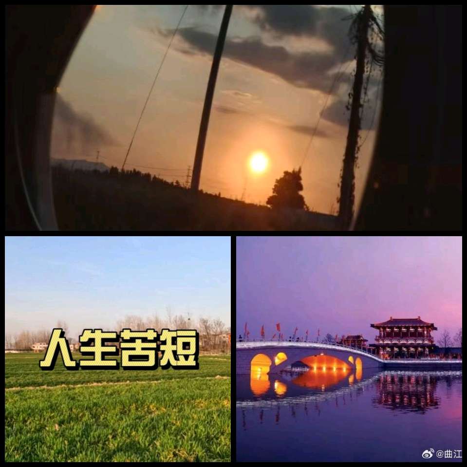 【重磅推出 秋韵抒怀】鲁坡//拥抱秦川爱关中[识文断字]系列作品展（图11）