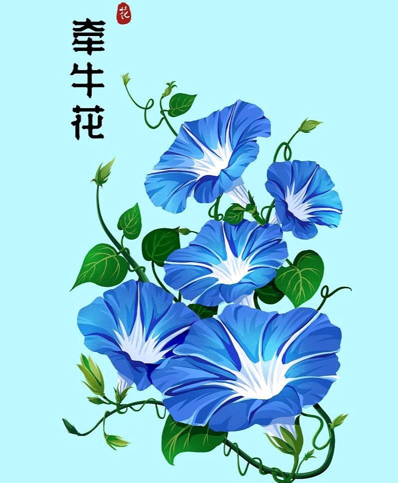 【经典推荐】张建国//咏牵牛花（图3）