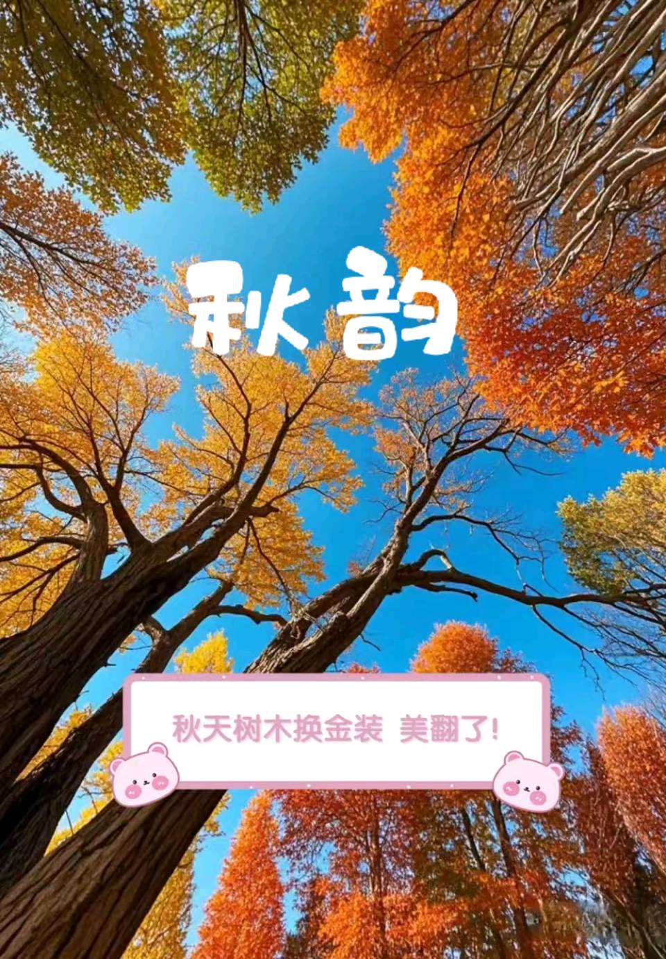 步韵钦哥哥《秋韵》诗◑朱学钊（图11）