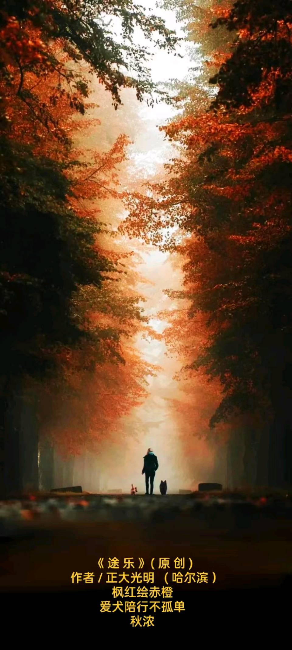 【中国诗人】（名家风采）❤️题图微诗一组 • 感秋//作者 / 正大光明( 哈尔滨 ）（图5）