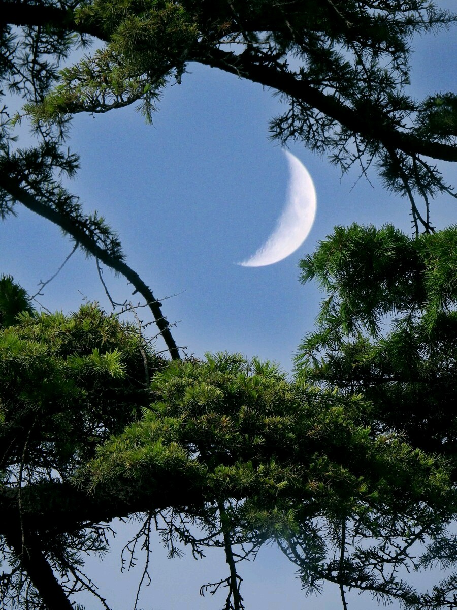【神州源流诗苑】第1395期优秀近体诗周刊(图13)