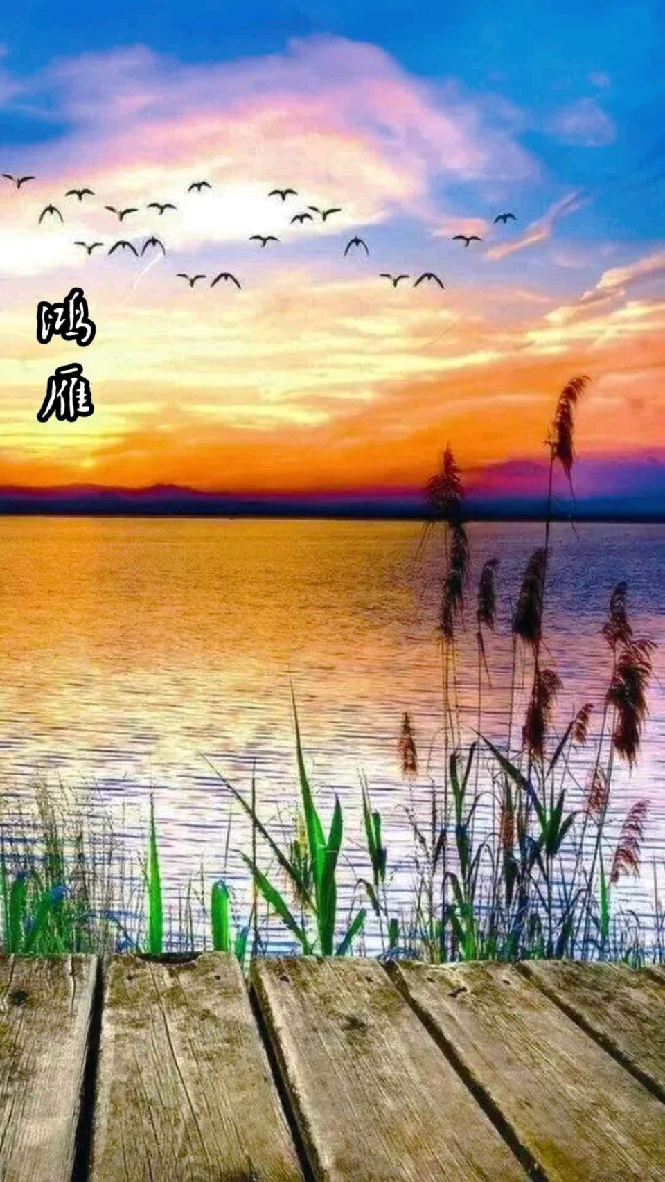 七绝-处暑日随感～诗◑胡斌（桃花园君）（图15）