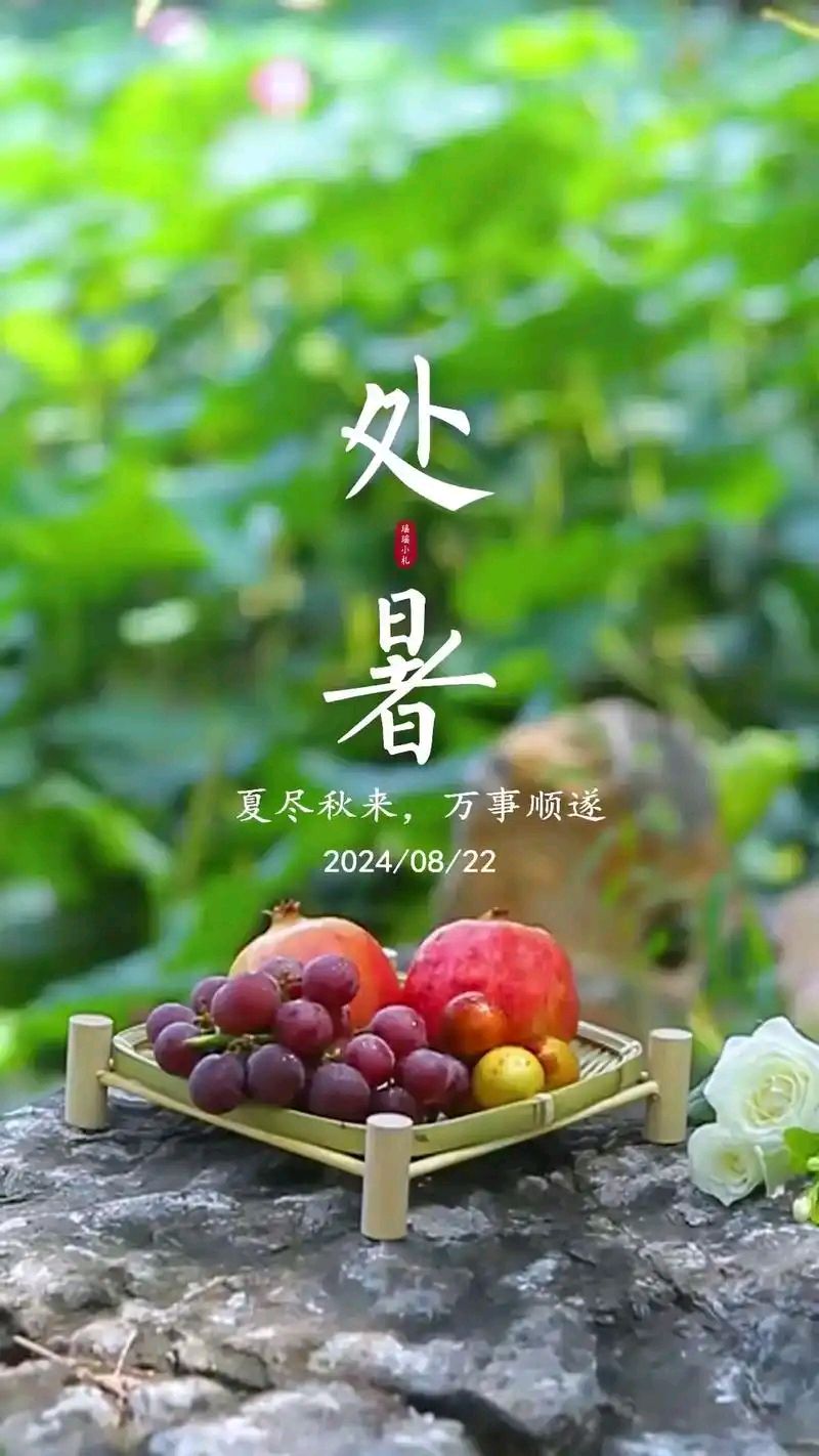 处暑‖巴彦诗协【969】（图4）