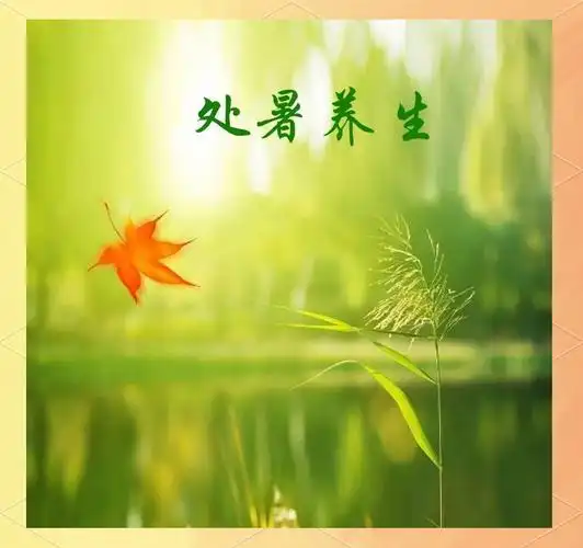 处暑‖巴彦诗协【969】（图3）