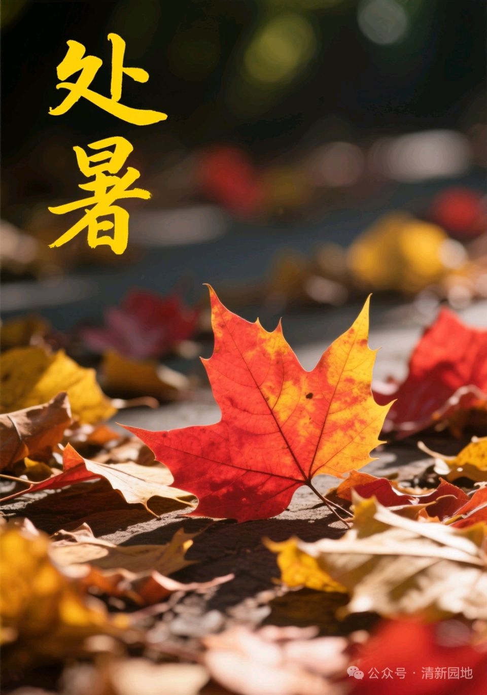 藏头诗:处暑时节文/王俊杰(天津)（图3）