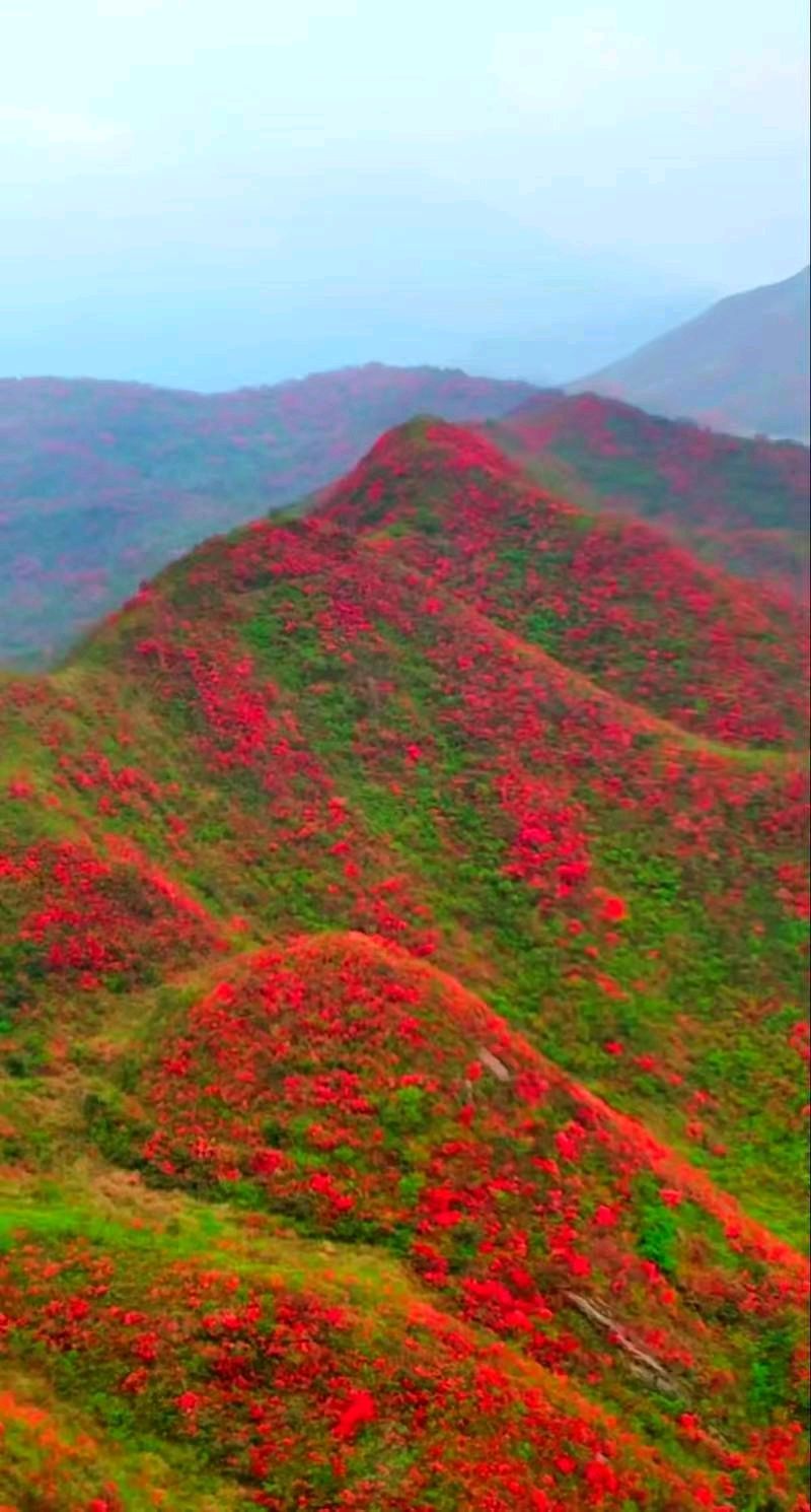 【荣耀中国】请欣赏优秀诗人李万春诗词（图15）