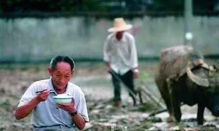 【中国诗人】（名家风采）稻香时节，我们呼唤您//李炜（图6）