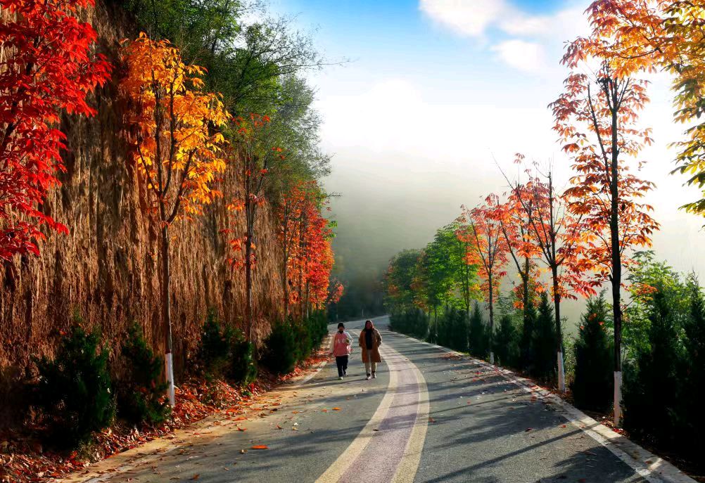 彩丽《三门峡公关路》‖诵读：周伟（幽兰）（图12）