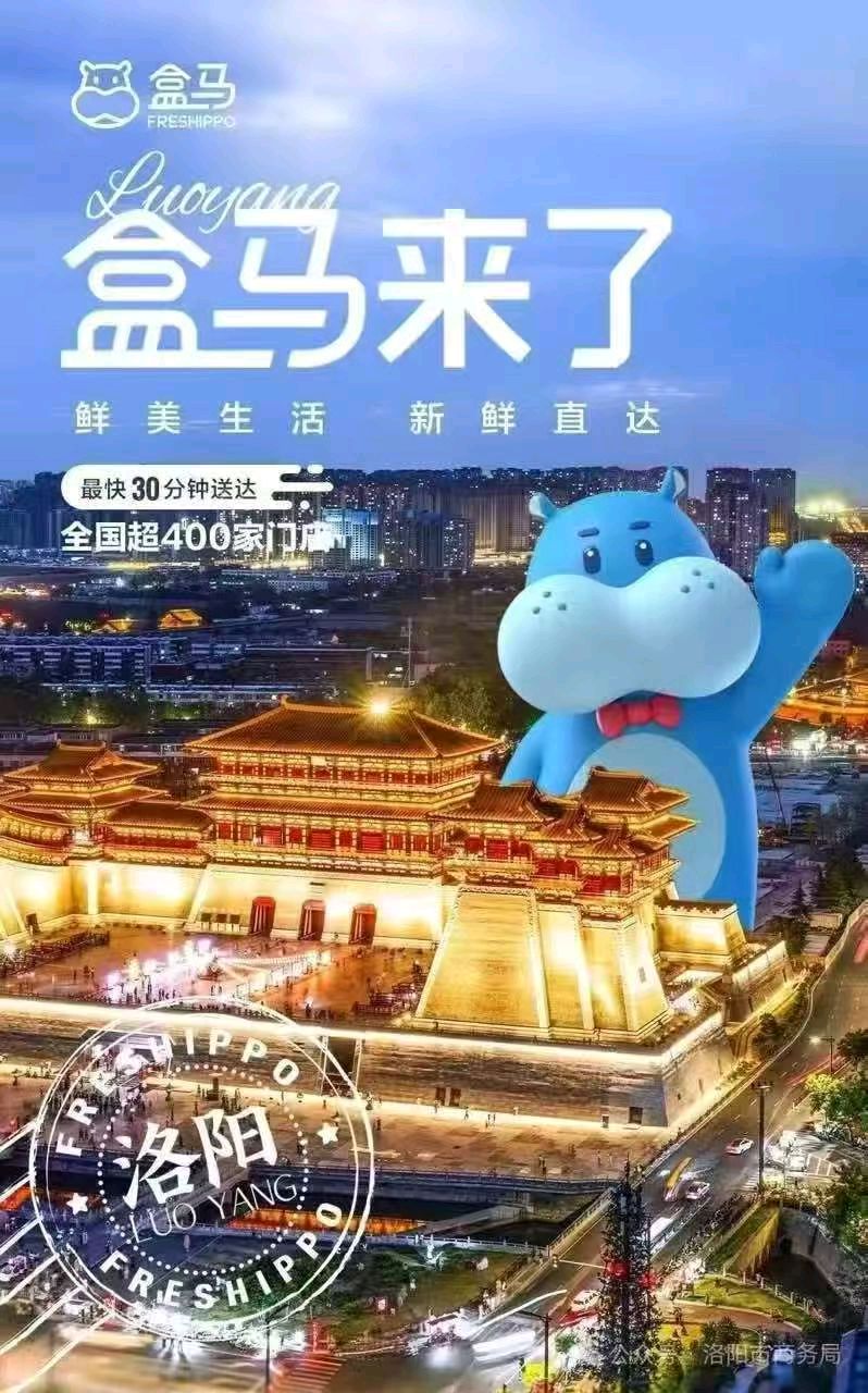 盒马来洛阳了 原作/梁立锋