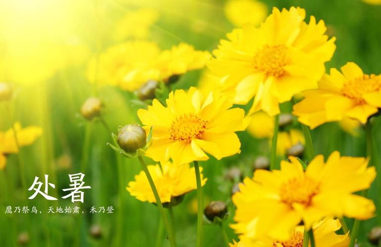 【神州源流诗苑】第1399期优秀近体诗周刊（图3）