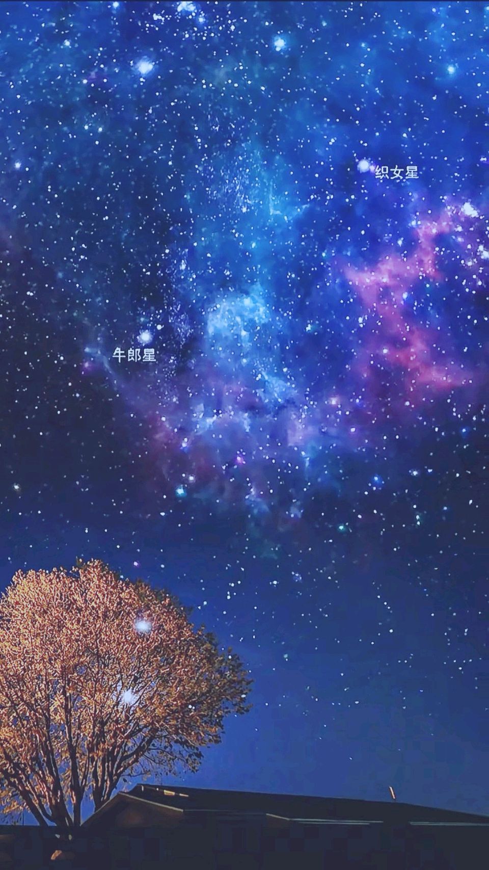 满庭芳-七巧～词◑刘哲侬（图14）