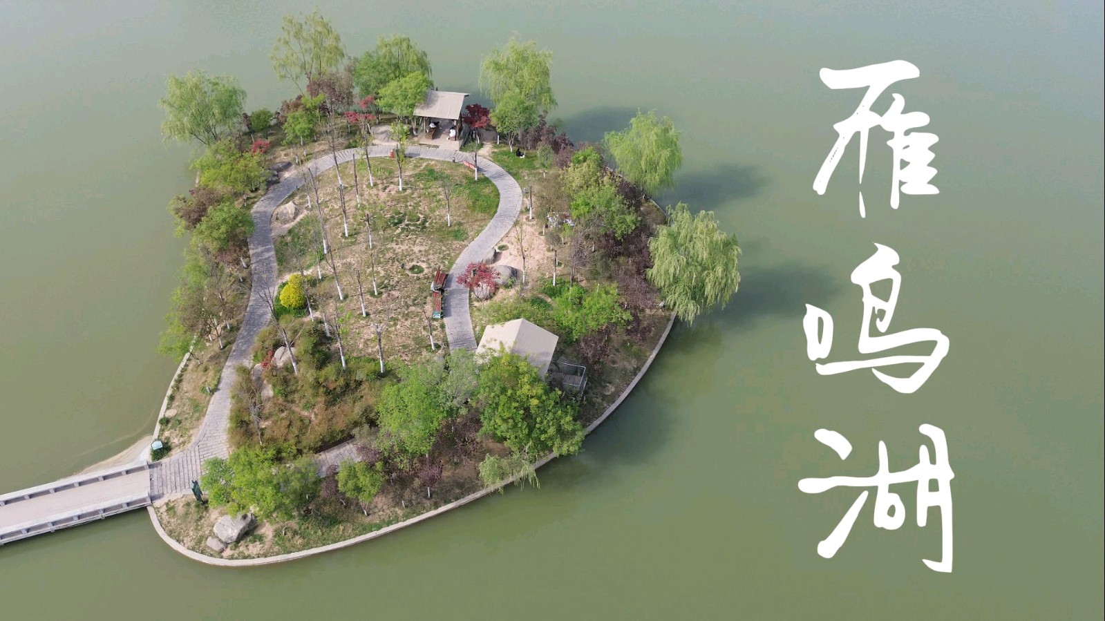 【中华作家】雁鸣湖畔赏花海（散文）文/李刚