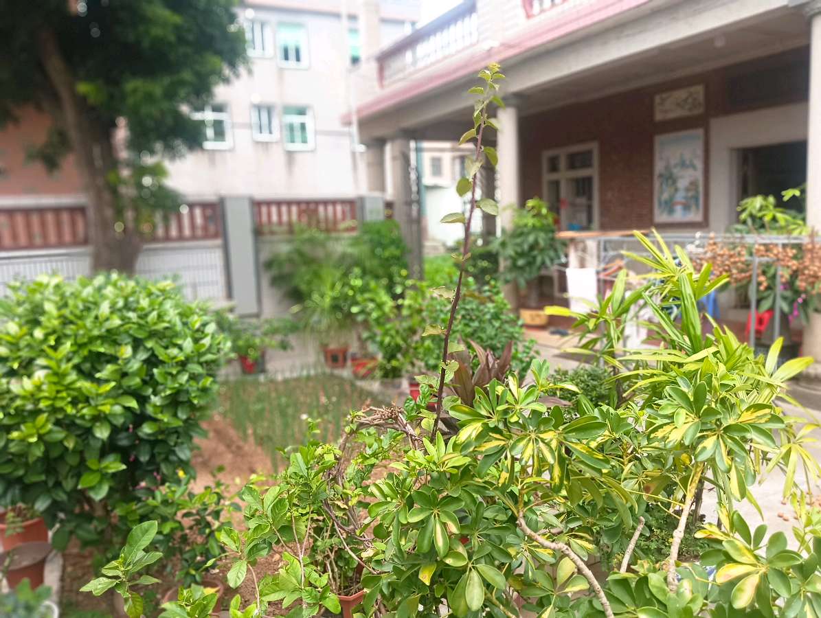 七律-雅院闲赏～诗◑雅轩琴韵（图17）