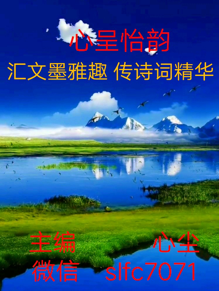 心尘文艺 第1756期（图3）