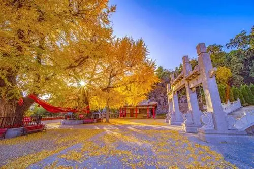 【荣耀中国】盼秋凉逢雨 王界平(湖北)（图4）