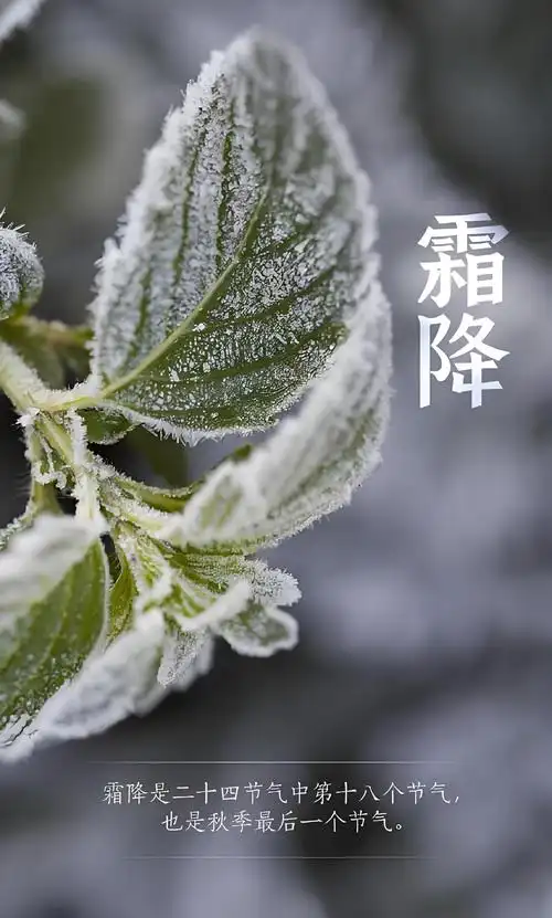 《24节气·秋冬两季篇》作者/马守华【桃源国际诗歌文化传媒】桃源♥古韵（图10）