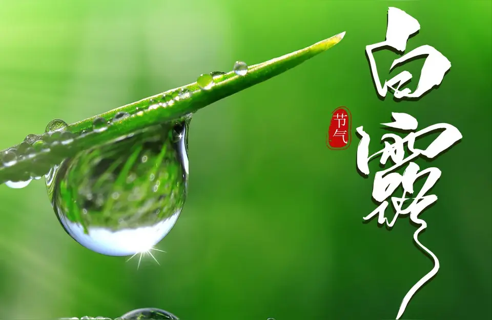 【荣耀中国】白露吟（新韵）王朝来/北京（图5）