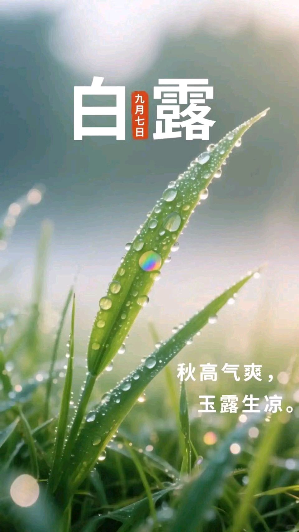七律-白露～诗◑宁国振（图10）