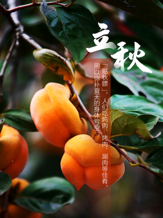 【新山东文学社】《秋色》作者/王建生 主播/墨兰（图4）