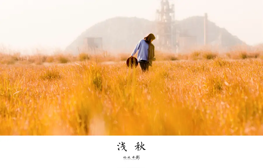 浅秋薄念（文/王钧华）……莲叶之珠文学社（图4）