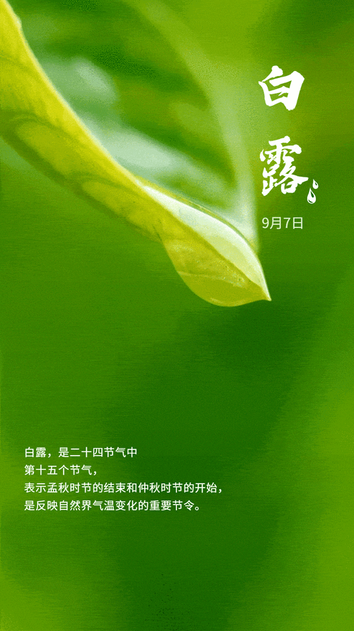 【神都诗社】第134期《白露》（图12）