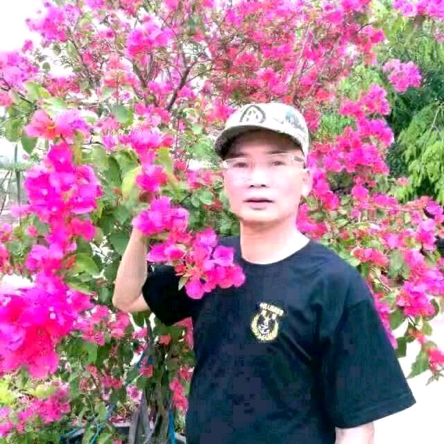 推荐|辉叔 七绝《2025年教师节寄怀礼赞》十二首（图4）