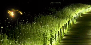 【中国字话】秋雪.冬日艳阳.金南.山涧红枫.傲雪红梅分享《茶 可俗可雅 可清可静》文/铁裕//制作/田爽【第2539期】（图2）